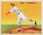 Carl Hubbell