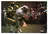 Billy Sims