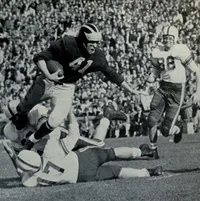 Terry Barr