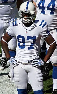 Reggie Wayne