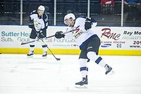 Logan O'Connor