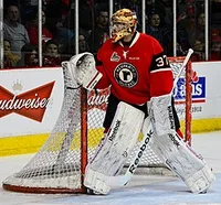 Louis Domingue