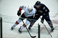 David Musil