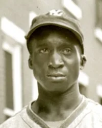 Clarence Palm