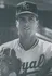 Bill Pecota