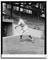 Joe Shaute
