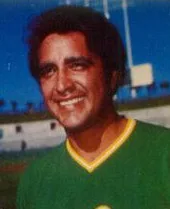 Mike Torrez