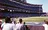 Bernie Williams