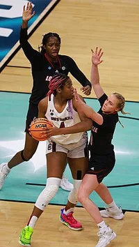 Liz Dixon
